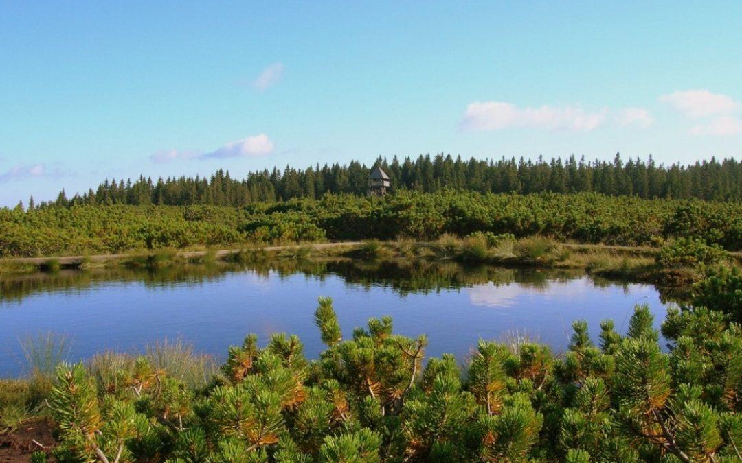 FINALIST#7: With a »PREKLJAVZN« on Pohorje – From Puščava to Lovrenc lakes