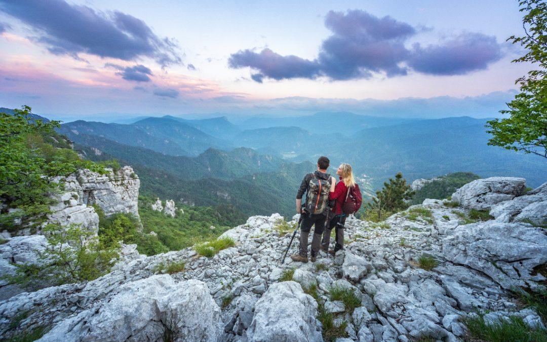 FINALIST#2: Feel and experience the forest of Kočevsko – wild, but nice