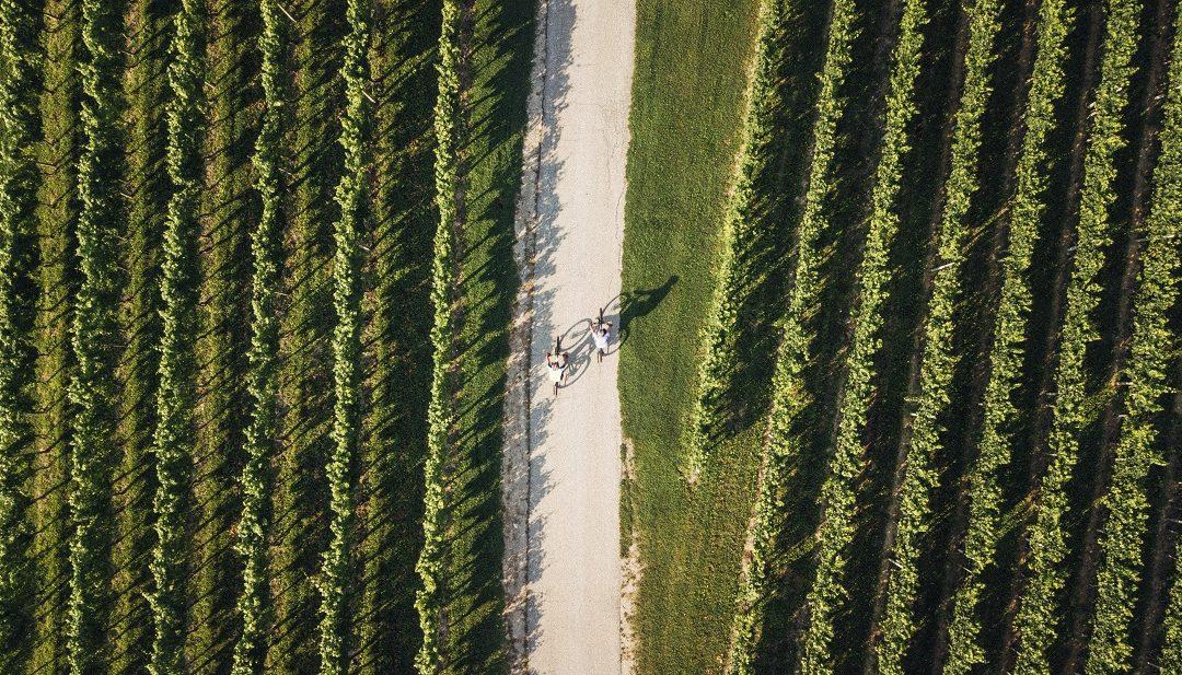 FINALIST#6: Discover Brežice on horse and bike