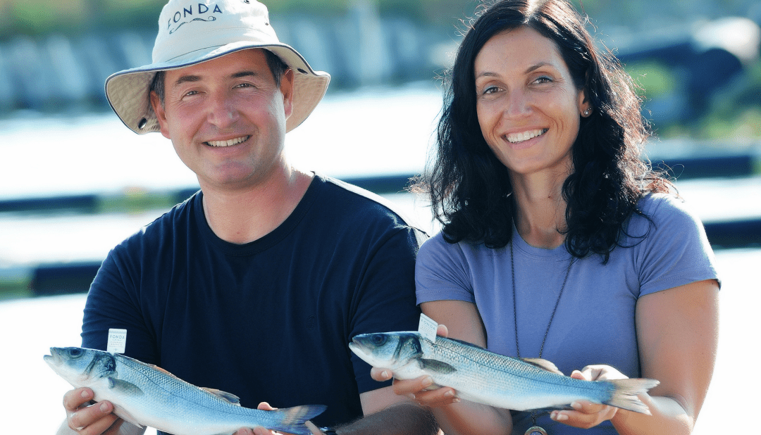 FINALIST#2: Unforgetable Day With Fish, Wine and Olive Oil Tasting at Fonda Fish Farm
