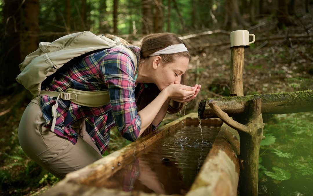 FINALIST#4: Forest Experience in Radlje ob Dravi